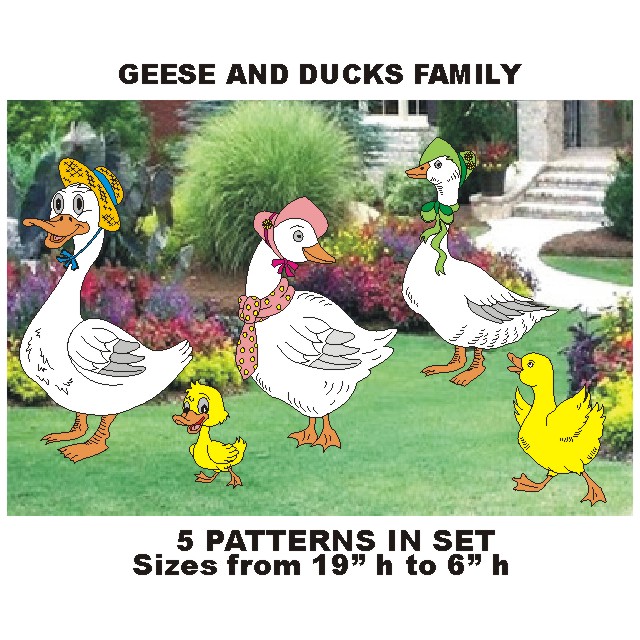 Albums 103+ Images family which geese and ducks belong to Full HD, 2k, 4k