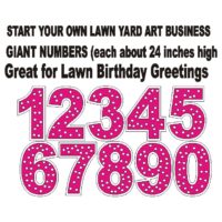 Giant Numbers